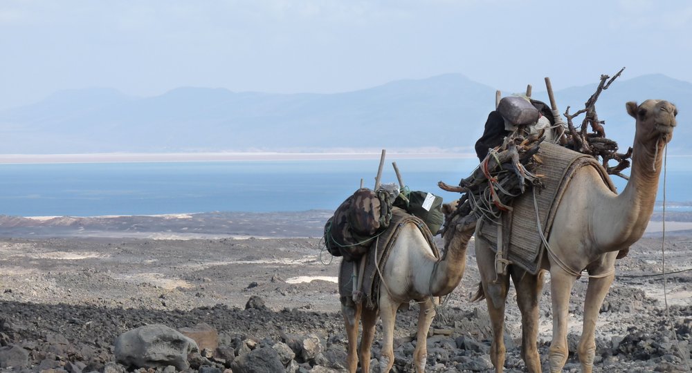 Дешевые авиабилеты в Джибути
